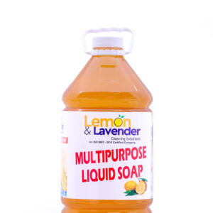 dish wash gel regular