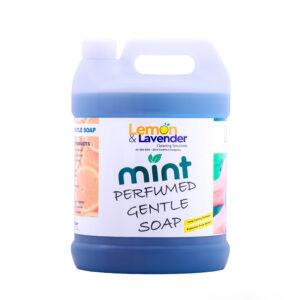 dish wash gel regular