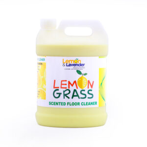 dish wash gel regular