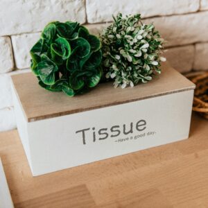 A stylish tissue box with artificial plants on a kitchen table, offering a warm and inviting decor element.