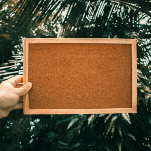 Close-up of an empty bulletin board held by a person with palm trees in the background.