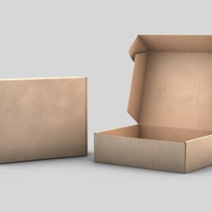Two cardboard boxes, one closed and one open, on a white background for packaging concepts.